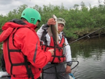 Harjusta L�t�senolta