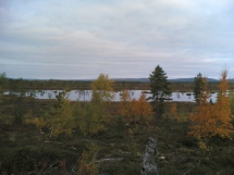 Hanhenmets�stys aluetta Kittil�ss�